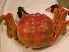 -安蒂娅·海鲜自助餐厅(安蒂娅美兰酒店)