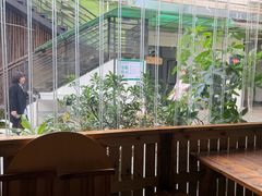 -大自然素食(望桐路店)