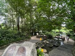 -成都市活水公园