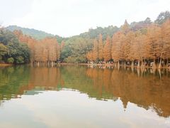 -广州市白云山风景名胜区