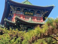-迎泽公园