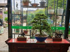 -天怡·鱼工厂(临江店)