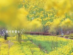-石家庄市植物园