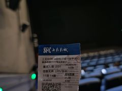 -SFC动漫主题影院(美罗城店)