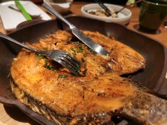 -云海肴·汽锅鸡·云南菜(广安门天虹店)