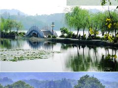 -运河游船(武林门码头)