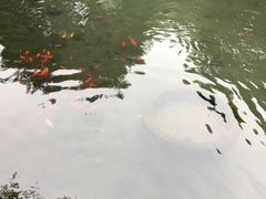 景点-望江楼公园