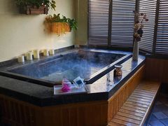 -春晖园度假酒店温泉