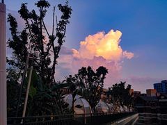 -悦见花开·花园里的火锅·露营·下午茶