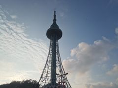 -青岛电视塔