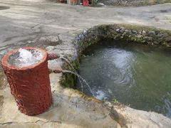 -可心烤鱼