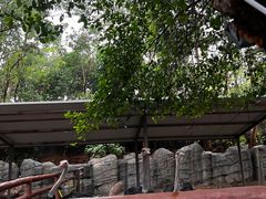 -东莞香市动物园