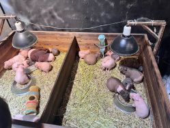 -酷嗒动物文化乐园(cutezoo西溪乐天城店)