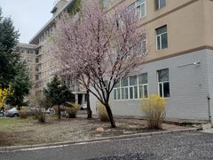 -吉林大学(南岭校区)