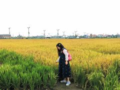 -中国天府农业博览园