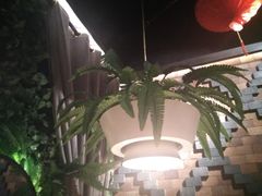 -天山醉美辣子鸡(文艺路店)