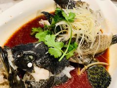 清蒸石斑鱼-T11生鲜超市(朝阳公园店)