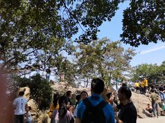 -紫金山山顶公园