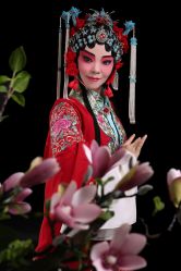 -胭脂猫京剧摄影