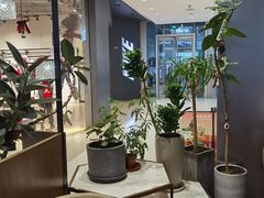 -THE WOODS 简餐 (国贸商城店)