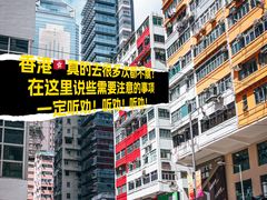 -Big Bus Tours 敞篷观光巴士
