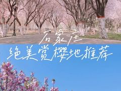 -石家庄市植物园