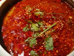 -雀蓝川菜(奥体广场店)