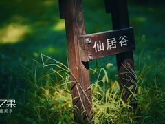 -甲乙果 美术书法(通州校区)