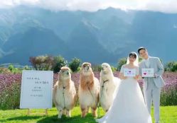 点击看大图 -太古映画婚纱摄影(天河店)