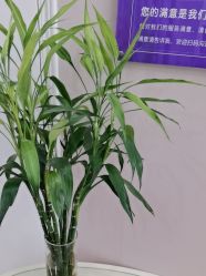 -蕾蕾美颜美容美体