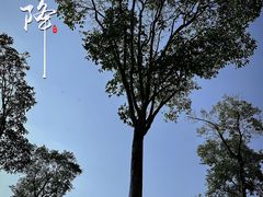 -钟山体育运动公园
