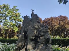 -莲花池公园