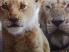 -乐天影城(威高广场店)