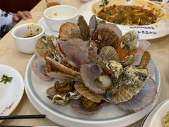 蒸扇贝-北方饺子王·海肠捞饭·海鲜锅(山大店)