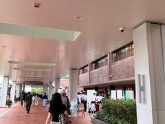 -香港大学