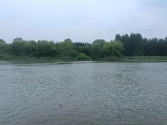 -微山湖红荷湿地景区