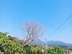 -西涌国际滨海旅游区