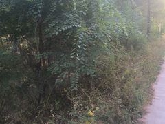 -刘老表·瓦罐汤涮肉(青云谱店)