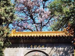 -千佛山风景名胜区