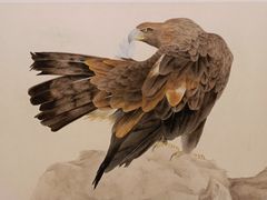 -江苏省美术馆(长江路新馆)