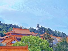-深圳仙湖植物园