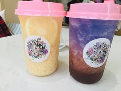 -Husky Go! 哈士奇体验馆·宠物咖啡厅狗咖