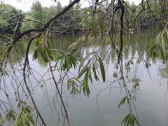 android_upload_pic-东莞市可园博物馆