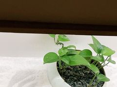 -常乐·对症推拿(解放碑英利大融城店)