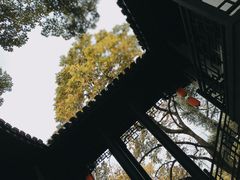 -杭州黄龙洞