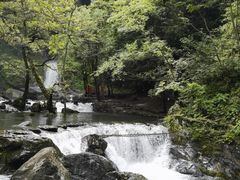 -石台牯牛降景区