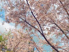 -南翔镇银翔湖公园