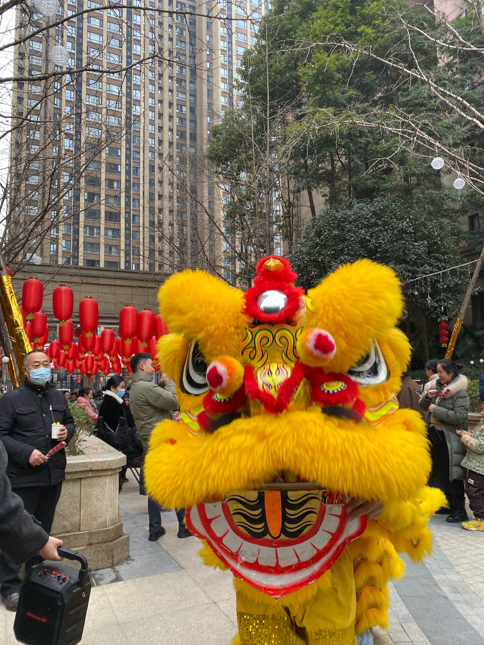 春节狮舞真热闹