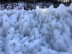 -秦岭终南山世界地质公园翠华山景区