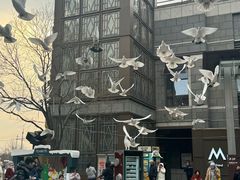 -中粮·祥云小镇